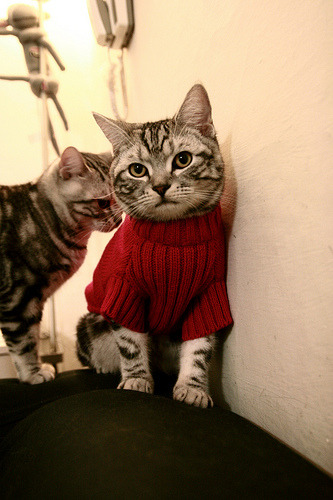 保级球队心理博弈影响赛季后半程表现,保级球队夺冠