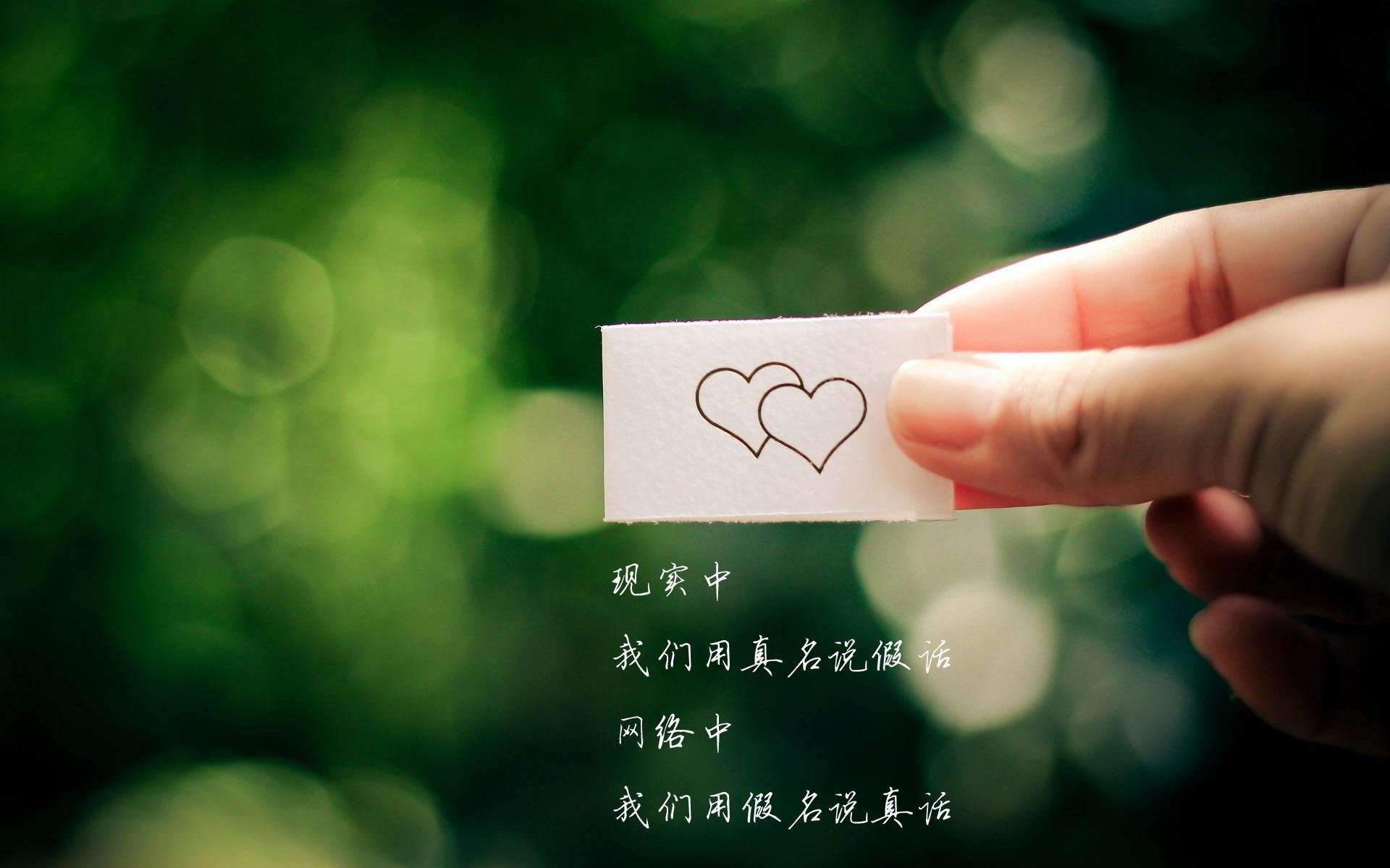 高校射箭联赛展开角逐 展现传统魅力,高校射箭比赛